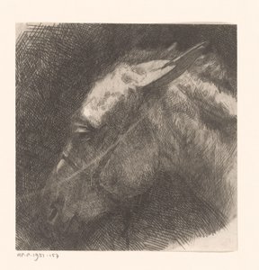 Cabeza de mula de Maurits van der Valk