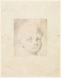 Estudio: Cabeza de un niño