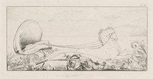 Triunfo, 1878-1880
