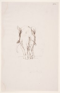 "Camino de la contaminación" - "Elefante y perro olfateando" de Max Klinger