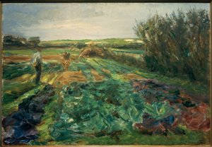 El campo de coles (Campo de coles en Noordwijk)