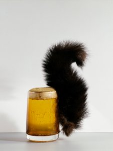 El vaso de la ardilla