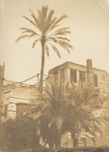 Dátiles y casa del barrio Franc, en El Cairo, diciembre de 1849-enero de 1850 de Maxime Du Camp
