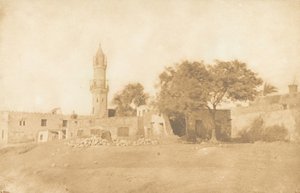 Vista tomada en Beni-Souef, 1850