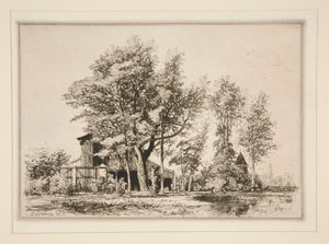 Acacia Trees de Maxime Lalanne