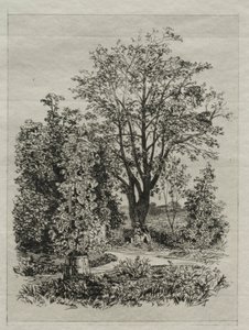 Mi jardín de Maxime Lalanne