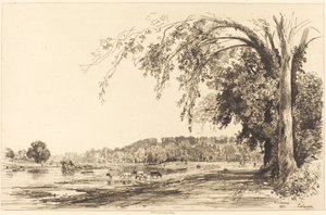 Richmond de Maxime Lalanne