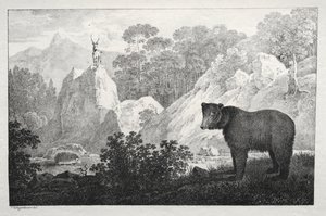 Paisaje montañoso con oso en primer plano
