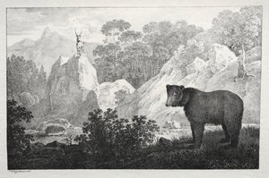 Paisaje montañoso con oso en primer plano