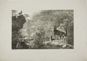 El ciervo y el gamo de Maximilian Josef Wagenbauer