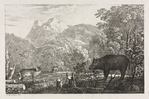 Wild Boar, Wildcat and Lynx de Maximilian Josef Wagenbauer