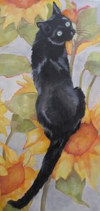 Un gato negro entre girasoles de Maxine Shore