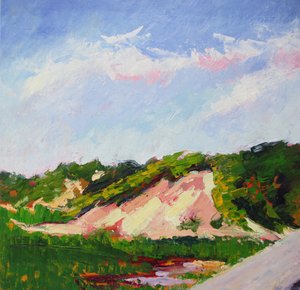 Un paisaje de dunas lleno de vida de Maxine Shore