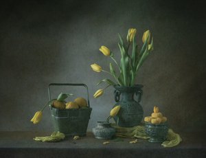  de May G