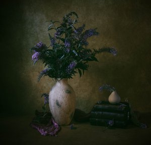  de May G