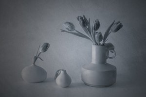  de May G