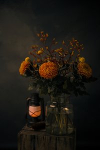 Resplandor de flores otoñales de Mayra Pama