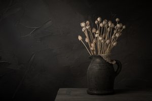 Bodegón oscuro con cápsula de amapola de Mayra Pama