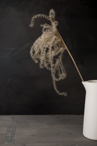 Jarra blanca con hierba de la pampa de Mayra Pama