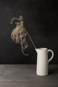 Jarra blanca con hierba de la pampa de Mayra Pama