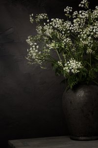 Bodegón con flores silvestres blancas de Mayra Pama