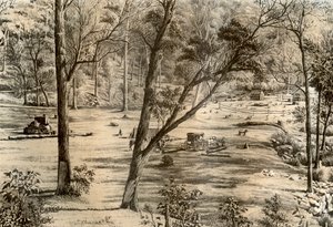 Cabaña del selector libre, Australia, 1879 de McFarlane and Erskine