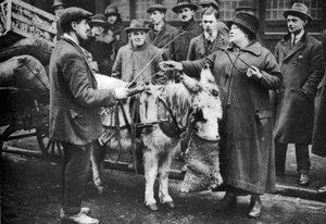 Una mujer con látigo, Covent Garden, Londres, 1926-1927 de McLeish
