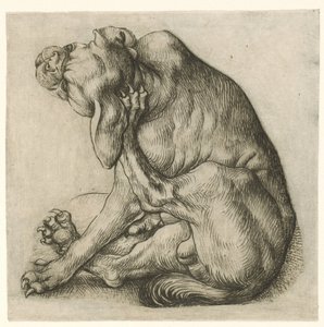 perro arañando de Meester van het Amsterdamse Kabinet
