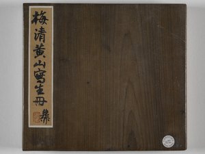 12 vistas de Huangshan (tinta sobre seda) de Mei Qing