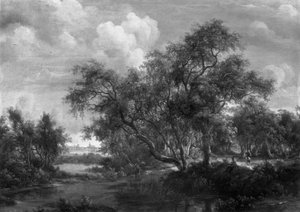 Paisaje boscoso de Meindert Hobbema