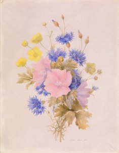 flores de campo de Melanie Marc