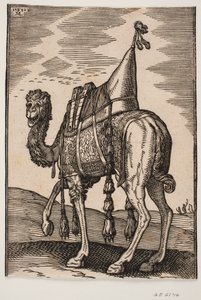 Un camello ensillado de Melchior Lorck