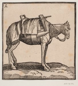 Un caballo de carga ensillado de Melchior Lorck