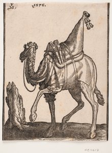 Un dromedario ensillado, perfil hacia la izquierda, con la cabeza del animal girada de Melchior Lorck