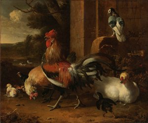 Un corral de aves de corral