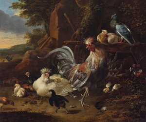 Gallo, gallinas y otras aves en un corral de Melchior d
