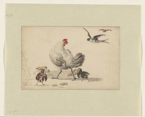 Dos golondrinas y una gallina con cuatro polluelos