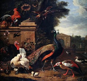 Un pavo real, un halcón y varias aves y patos en un parque