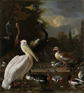 Un pelícano y otras aves cerca de un estanque, conocido como 