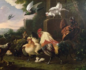 Un gallo y otras aves en un paisaje