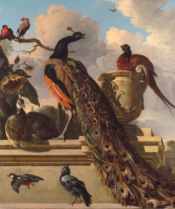 Pájaros en el parque de Melchior de Hondecoeter