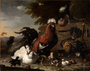 La paz en el corral de las gallinas de Melchior de Hondecoeter