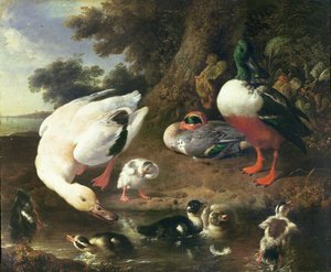 Patos de corral de Melchior de Hondecoeter