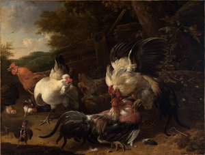  de Melchior de Hondecoeter