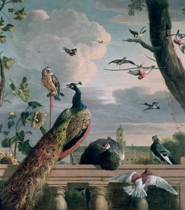 Palacio de Ámsterdam con aves exóticas