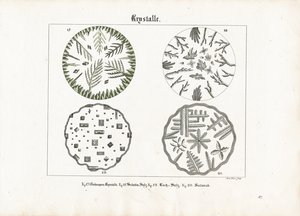Formas cristalinas de diversas sales de Meno Haas
