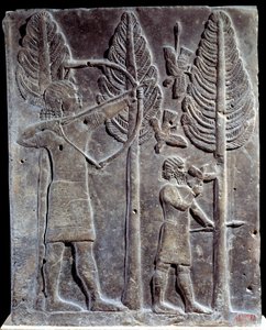 Escena de caza de aves. Bajo relieve en alabastro del Palacio de Sargón II o Sharroukin, Rey de Asiria en Khorsabad (Khunsabad) (Mesopotamia), Irak. 722-705 a.C. de Mesopotamian Mesopotamian