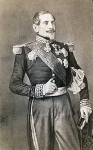 Retrato del mariscal Armand Jacques Leroy de Saint-Arnaud (Saint Arnaud) de Meyer and Pierson