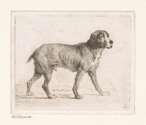 Hond de Michał Płoński