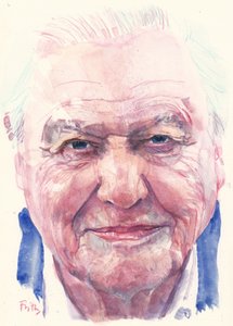 Sir David Attenborough (acuarela)